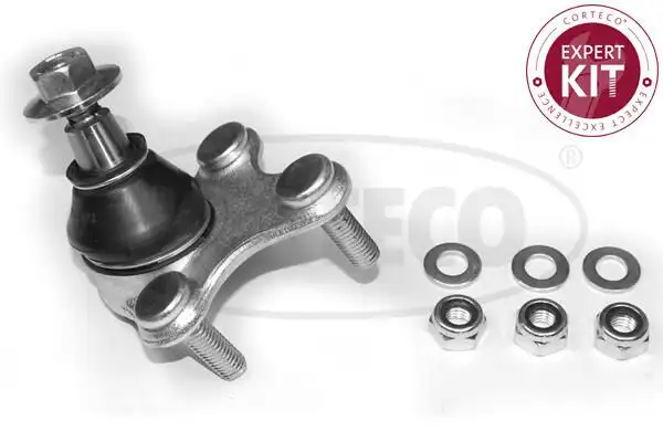 CORTECO 49398979 Alt Rotil (Sağ) 3C0407366B resmi