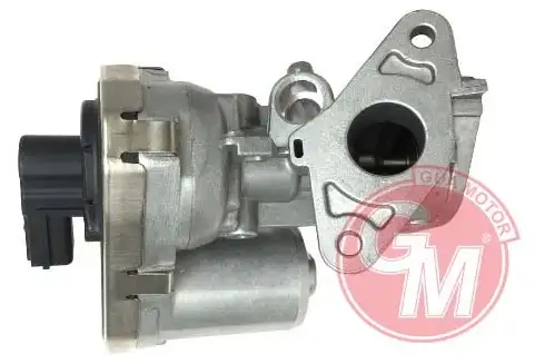 GUA 41141 EGR Valfi 71789686 resmi