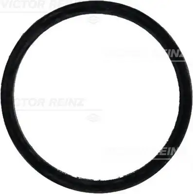 VICTOR REINZ 71-31647-00 Emme Manifold Contası A6041410160 resmi