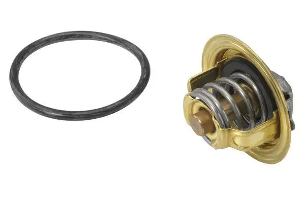 WAHLER 410537.92D Termostat 03L121113B resmi
