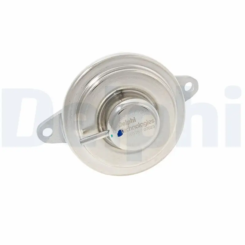 DELPHI EG10515-12B1 EGR Valfi resmi