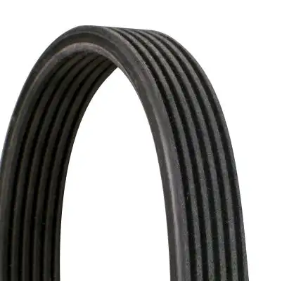 CONTITECH 6DPK1697 (6PK1697) Kayış resmi