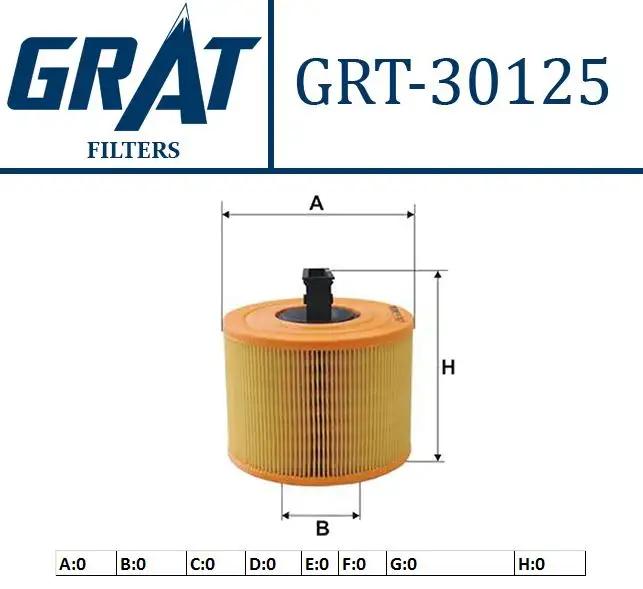 GRAT 30125 Hava Filtresi 13717536006 resmi
