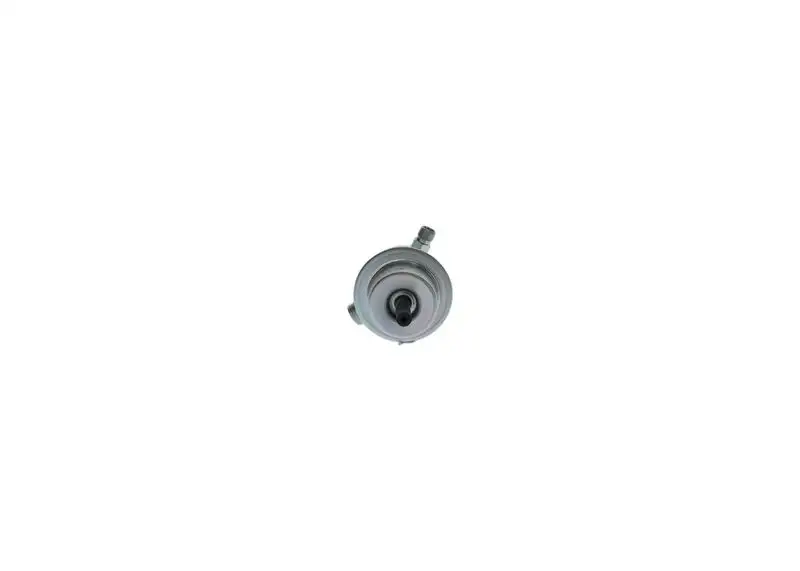 BOSCH 0438161013 Yakıt Basınç Regülatörü resmi