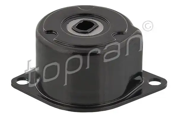 TOPRAN 109800001 Alternatör Gergi Rulmanı 044903315C resmi