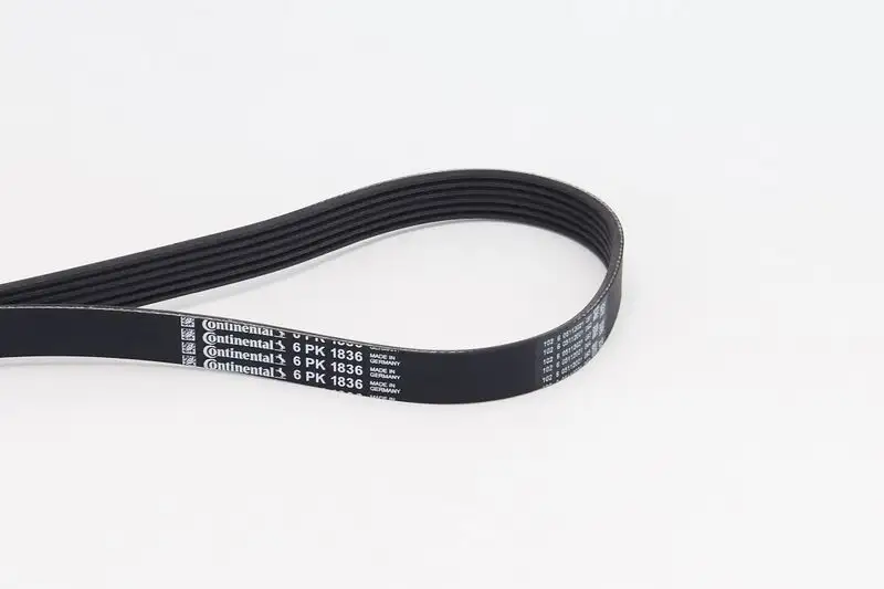 CONTITECH 6PK1836 Kayış resmi