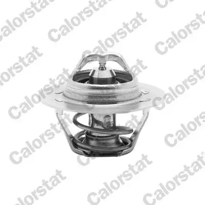CALORSTAT VERNET TH6045.89J Termostat resmi