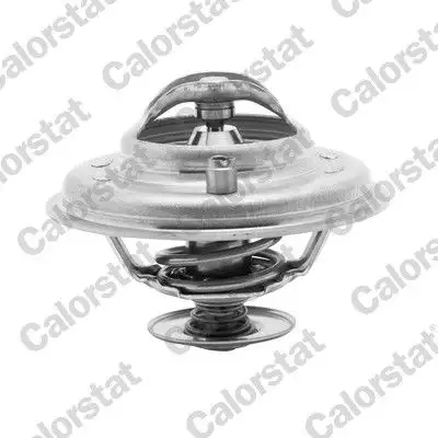 CALORSTAT VERNET TH5973.80J Termostat resmi