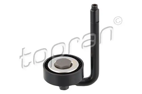 TOPRAN 501846001 Alternatör Gergi Rulmanı 64557786706 resmi
