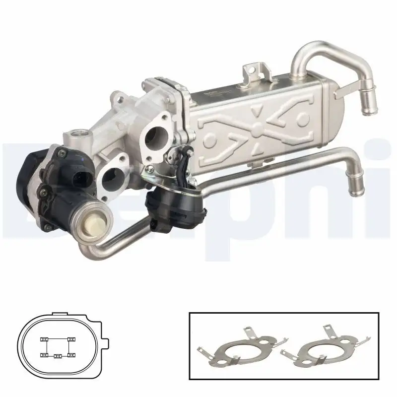 DELPHI EG10589-12B1 EGR Valfi resmi