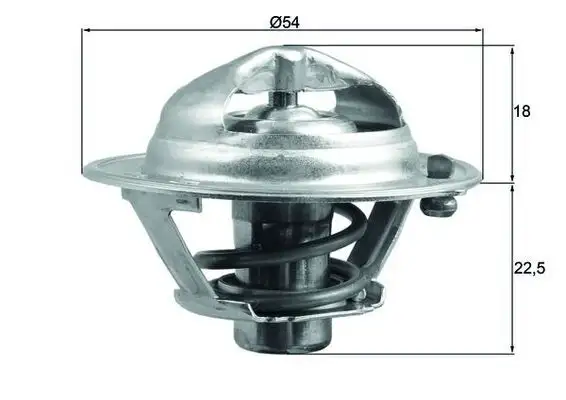 MAHLE TX16685D Termostat 255002A050 resmi