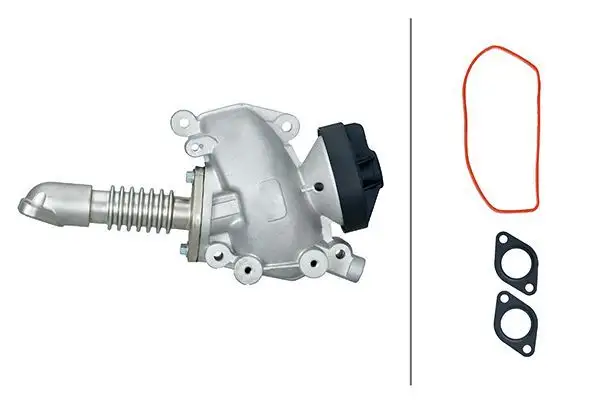 HELLA 6NU014865-131 EGR Valfi A6110900254 resmi