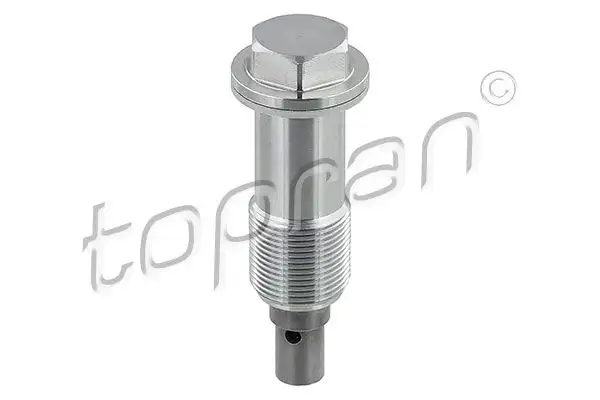 TOPRAN 408978001 Eksantrik Zincir Gergisi resmi