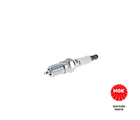 NGK 3951 (TR55) Buji 3539125 resmi