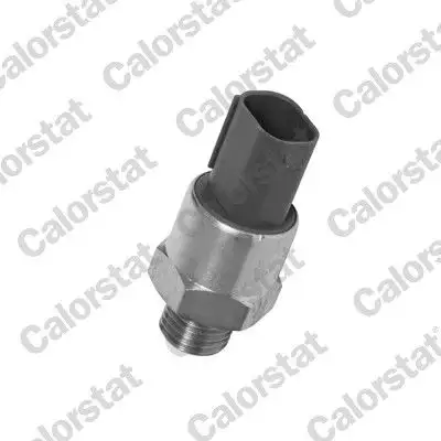 CALORSTAT VERNET TS2708 Fan Müşiri 61318376440 resmi