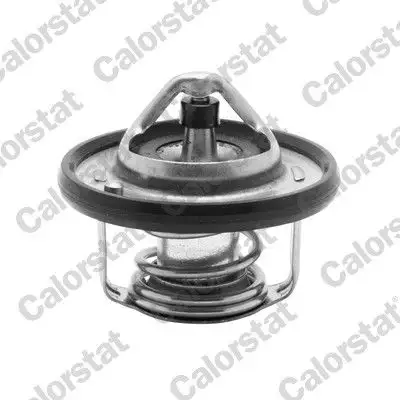 CALORSTAT VERNET TH6949.82J Termostat resmi