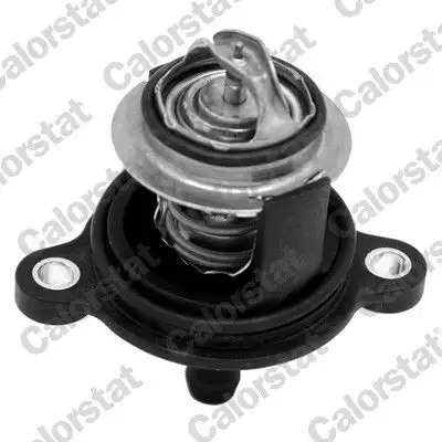 CALORSTAT VERNET TH7334.50J Termostat resmi