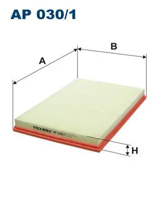 FILTRON AP030/1 Hava Filtresi 13717548888 resmi