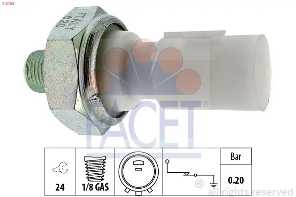 FACET 7.0182 Yağ Müşiri 9475002100 resmi
