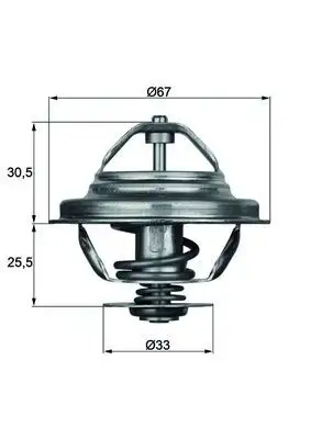 MAHLE TX2780D Termostat resmi