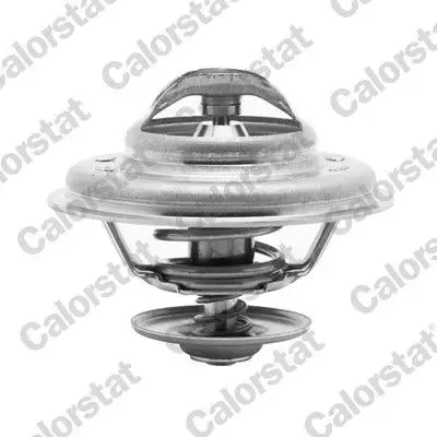 CALORSTAT VERNET TH5111.80J Termostat resmi