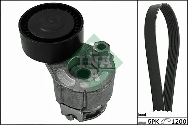 INA 529001510 Kayış Seti resmi