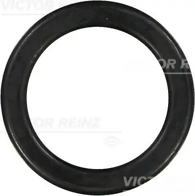 VICTOR REINZ 71-26496-00 Üst Kapak Contası A1020160621 resmi