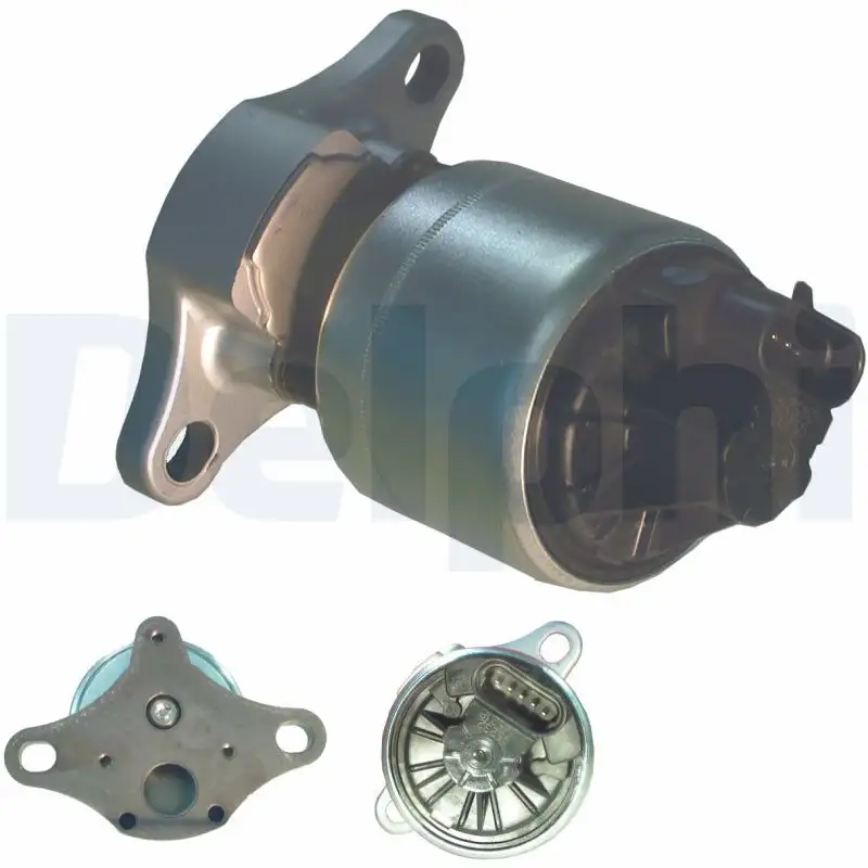 DELPHI EG10004-12B1 EGR Valfi resmi