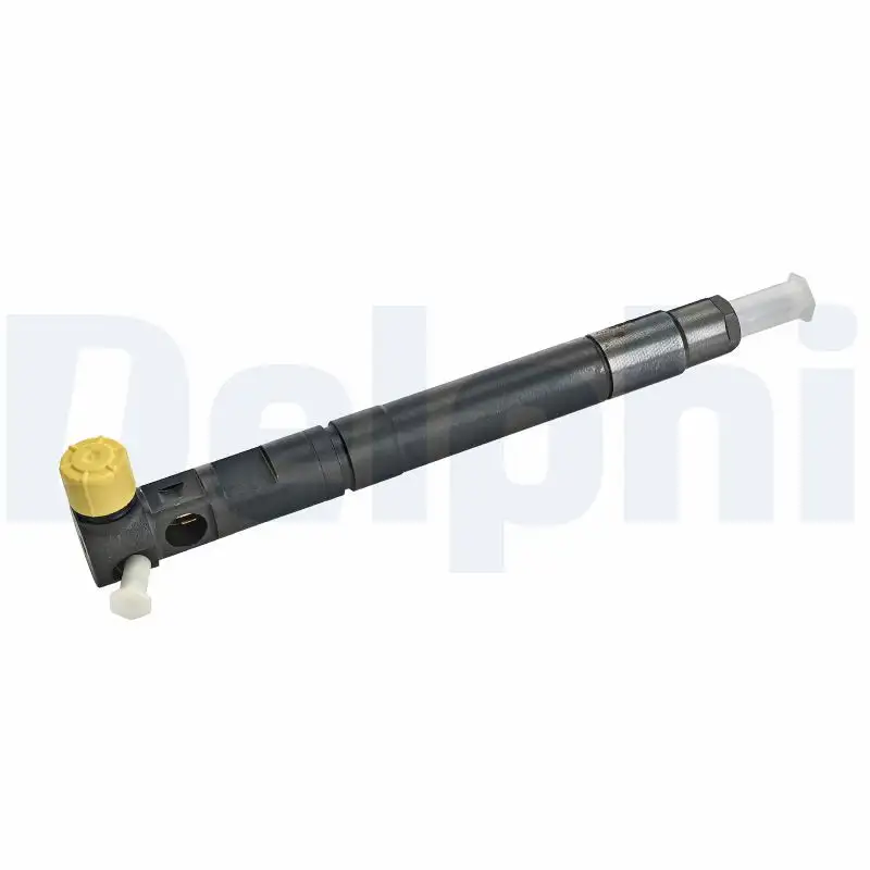 DELPHI R00301D-12B1 Enjektör A6710170121 resmi