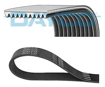 DAYCO 10PK1768HD (10PK1768) Kayış resmi