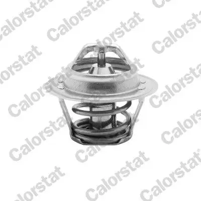 CALORSTAT VERNET TH4898.92 Termostat resmi