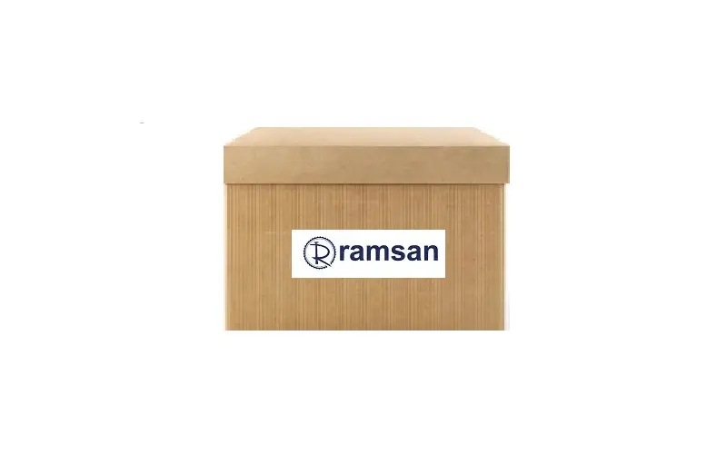 RAMSAN 211090 Direksiyon Pompası 4007KZ resmi