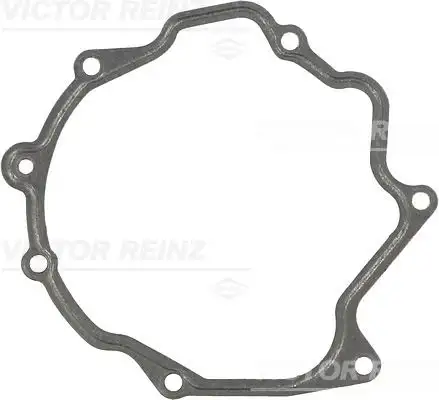 VICTOR REINZ 71-31793-00 Vakum Pompa Contası resmi