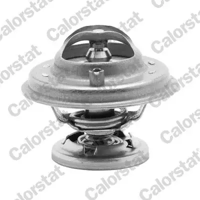 CALORSTAT VERNET TH5699.80J Termostat resmi