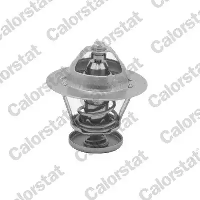 CALORSTAT VERNET TH5077.88J Termostat resmi
