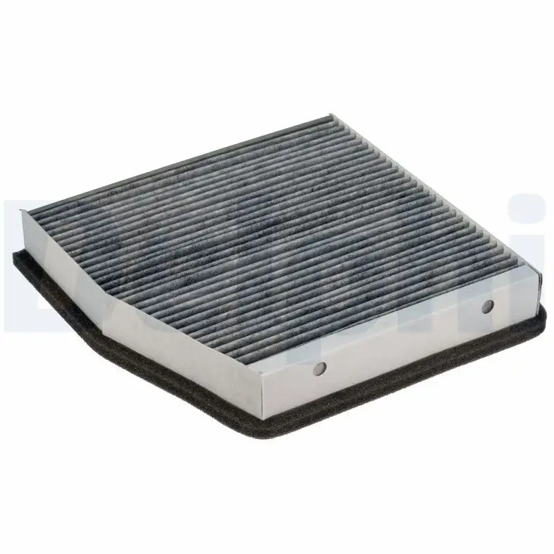 DELPHI KF10017C Polen Filtresi (Karbonlu) A2468300018 resmi