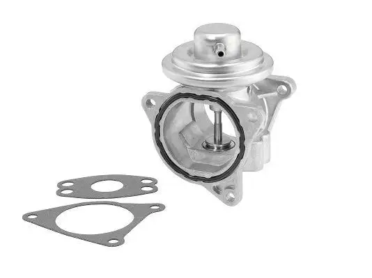WAHLER 7496D EGR Valfi 038131501AN resmi