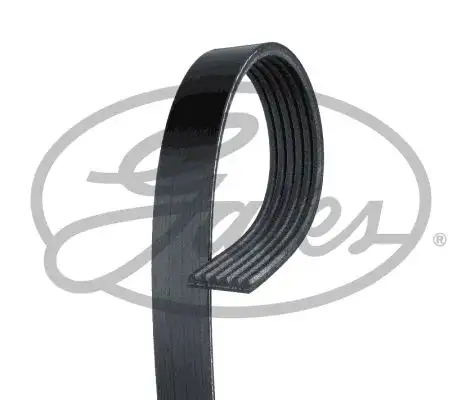 GATES ROADMAX 1903K6 Kayış resmi