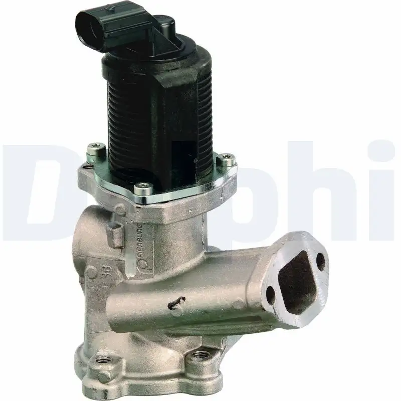 DELPHI EG10257-12B1 EGR Valfi resmi