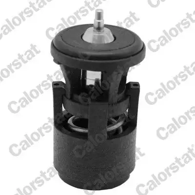 CALORSTAT VERNET TH6274.87J Termostat resmi