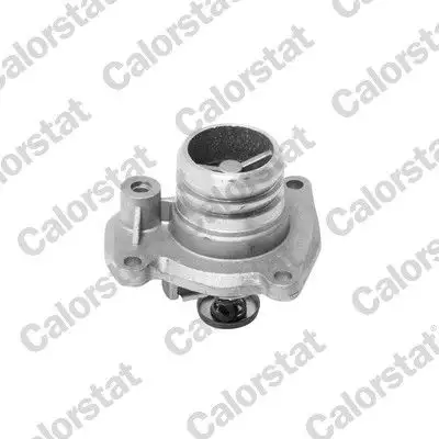CALORSTAT VERNET TH6951.92J Termostat resmi