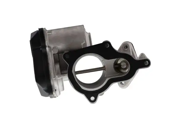 AISIN EGRAZ-7020 EGR Valfi resmi