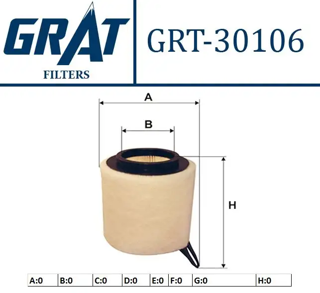 GRAT 30106 Hava Filtresi 13717532754 resmi
