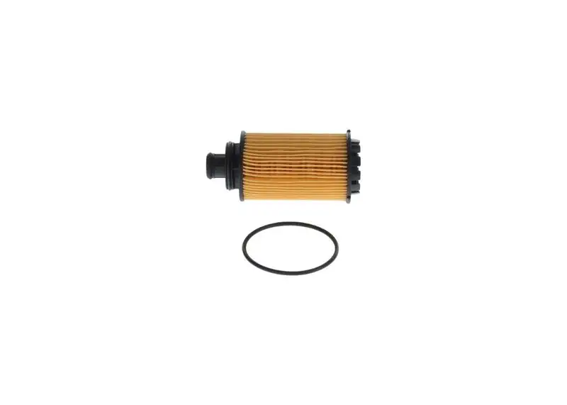 BOSCH F026407214 Yağ Filtresi 650212 resmi