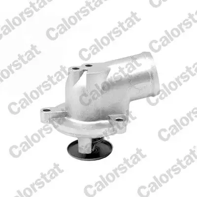 CALORSTAT VERNET TH6954.87J Termostat resmi