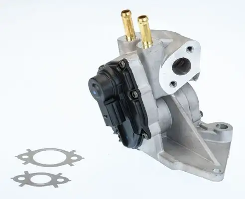 WAHLER 710937D EGR Valfi 06F131503B resmi