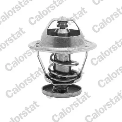 CALORSTAT VERNET TH5079.82J Termostat resmi