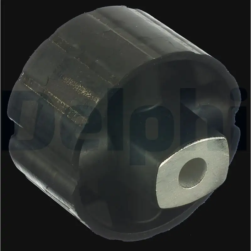 DELPHI TD1075W Salıncak Burcu resmi