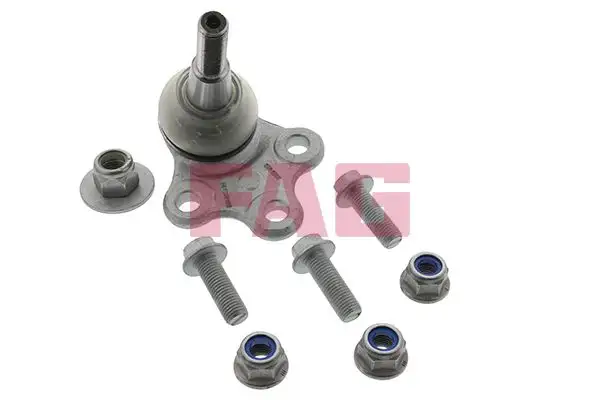 FAG 825034810 Alt Rotil 401600004R resmi