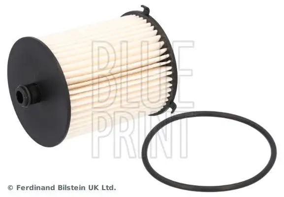 BLUEPRINT ADT32392 Yakıt Filtresi 233900N100 resmi